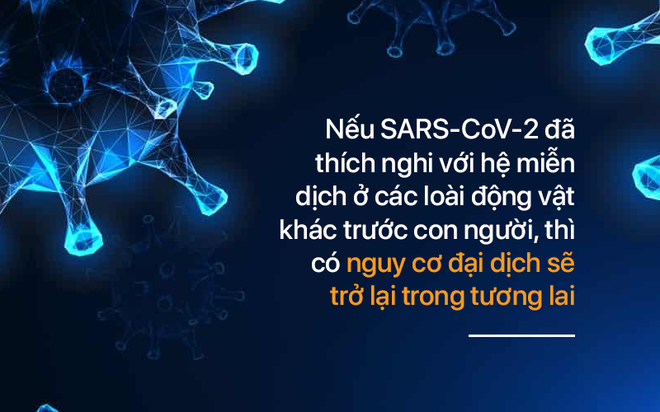 Tại sao bệnh truyền nhiễm từ động vật rất nguy hiểm cho con người? - Ảnh 13.