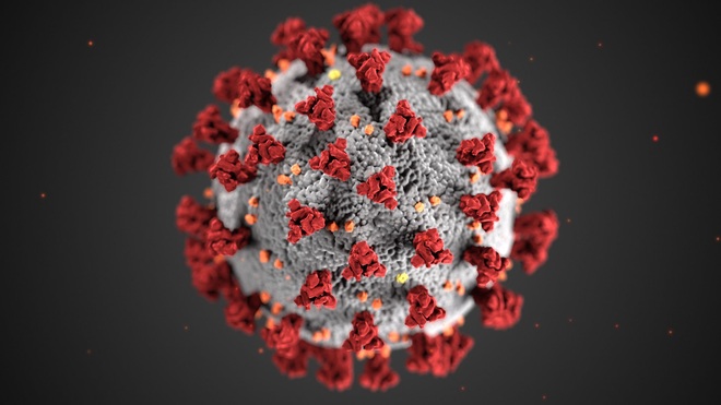 Khối cầu gai khuynh đảo thế giới: Thấy gì từ bức hình minh họa 3D nổi tiếng của virus SARS-CoV-2? - Ảnh 4.