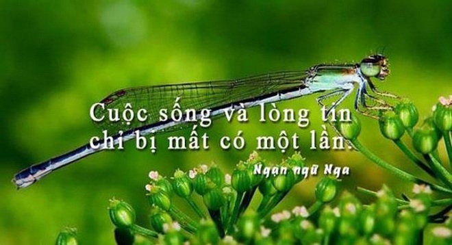 Trong hình có bao nhiêu chú chó? Con số tiết lộ độ tuổi tâm hồn bạn: Già dặn hay ngây thơ? - Ảnh 2.