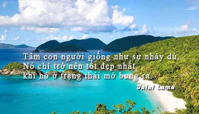 Trong hình có bao nhiêu chú chó? Con số tiết lộ độ tuổi tâm hồn bạn: Già dặn hay ngây thơ? - Ảnh 4.