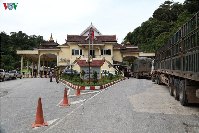 ‘Ông chủ’ Công ty Phương Đông bán máy xét nghiệm Covid-19 cho nhiều tỉnh, thành là ai? BN 91 dương tính trở lại - Ảnh 1.