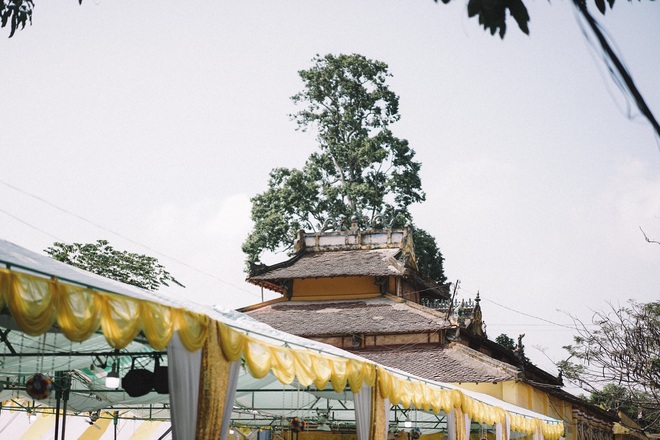 Lời hẹn bâng quơ thuở thiếu thời cùng bộ ảnh cưới gây bão MXH khiến ai cũng muốn click vào xem - Ảnh 6.