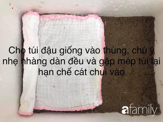 Ở nhà dài ngày, mẹ đảm Hà Nội mách cách làm giá tại nhà vừa nhanh vừa đảm bảo chất lượng chỉ với một ít đỗ và các dụng cụ đơn giản trong nhà bếp - Ảnh 8.