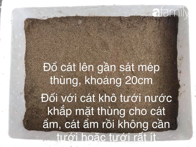 Ở nhà dài ngày, mẹ đảm Hà Nội mách cách làm giá tại nhà vừa nhanh vừa đảm bảo chất lượng chỉ với một ít đỗ và các dụng cụ đơn giản trong nhà bếp - Ảnh 9.