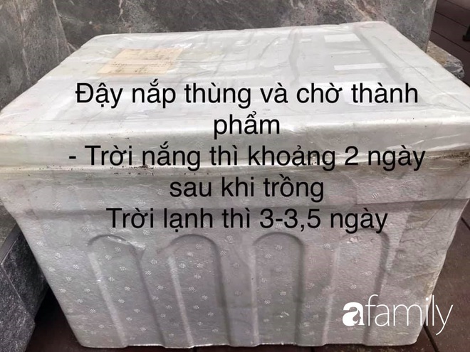 Ở nhà dài ngày, mẹ đảm Hà Nội mách cách làm giá tại nhà vừa nhanh vừa đảm bảo chất lượng chỉ với một ít đỗ và các dụng cụ đơn giản trong nhà bếp - Ảnh 10.