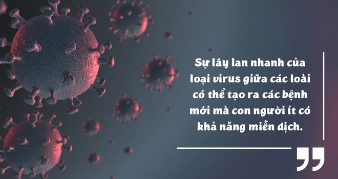 Những bằng chứng khủng khiếp chứng minh biến đổi khí hậu đã giải phóng virus bệnh tật từ động vật hoang dã vào con người - Ảnh 4.