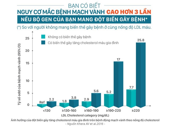 Tăng cholesterol máu: Chủ quan dễ biến chứng oan - Ảnh 2.