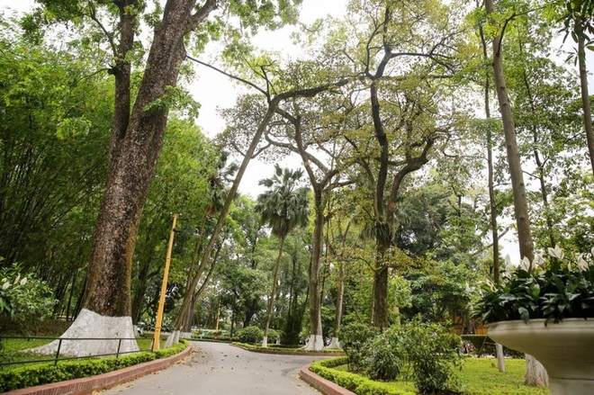 Học Bác lòng ta trong sáng hơn - Bài 1: Yêu từng ngọn lúa, mỗi cành hoa - Ảnh 1.