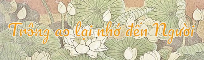 ‘Ao cá Bác Hồ’ - mãi xanh từ mạch nguồn tình Bác - Ảnh 15.