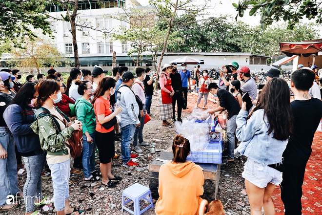 Cát Thy - Nhờ cái miệng quá duyên mà trở thành Diva với hàng bánh tráng trộn nổi nhất Sài Gòn, mỗi ngày có hàng trăm người đến tìm để quay hình, chụp ảnh - Ảnh 11.