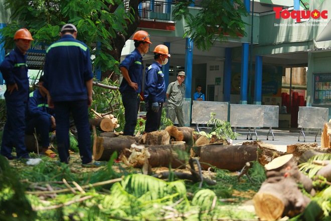 Bé trai tử nạn do cây đè: Mẹ về cho em bú. Mẹ sẽ chăm, thương em bằng cả tình thương của con nữa - Ảnh 3.