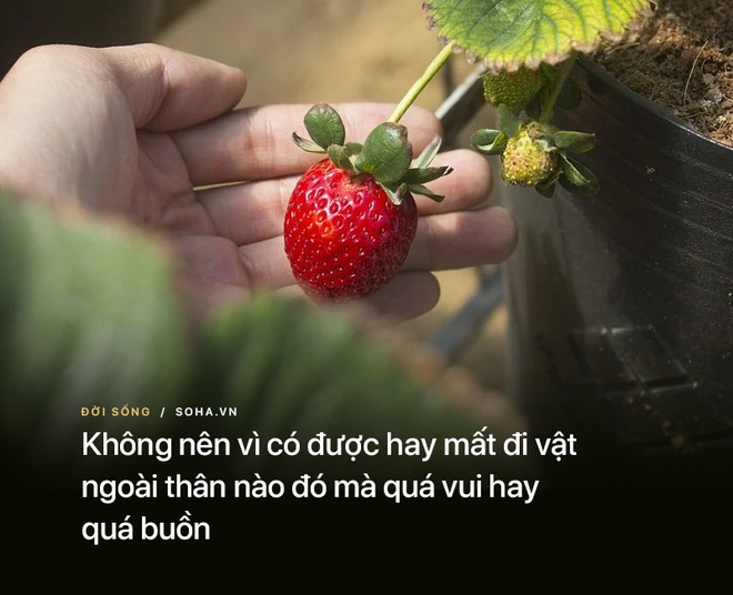 Người càng sống càng có phúc, hầu hết đều sở hữu 1 thứ này: Hãy xem bạn có hay không? - Ảnh 8.