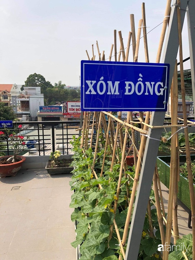 Doanh nhân Sài Gòn trồng cả vườn rau như trang trại và hồ sen trên sân thượng rộng 300m²  - Ảnh 21.