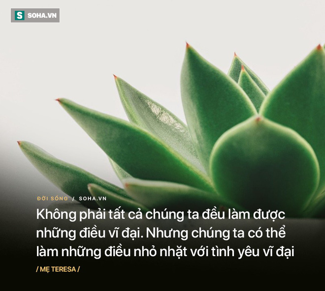 Có 5 con ếch trên 1 cái lá hoa súng, 1 con quyết định nhảy, hỏi còn lại bao nhiêu con? - Ảnh 5.