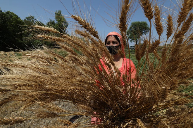 24h qua ảnh: Cảnh s&aacute;t Ấn Độ d&ugrave;ng gậy đ&aacute;nh người vi phạm quy định gi&atilde;n c&aacute;ch - Ảnh 9.