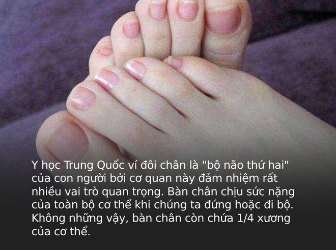 Bàn chân của người nhiều bệnh tật, tuổi thọ kém luôn có chung 7 dấu hiệu nhỏ này: Cả đàn ông lẫn phụ nữ đều nên kiểm tra ngay - Ảnh 1.