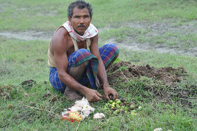 Người rừng Ấn Độ mỗi ngày trồng 1 cây xanh trong 40 năm, cái kết khiến người đời sau thầm cảm phục - Ảnh 1.
