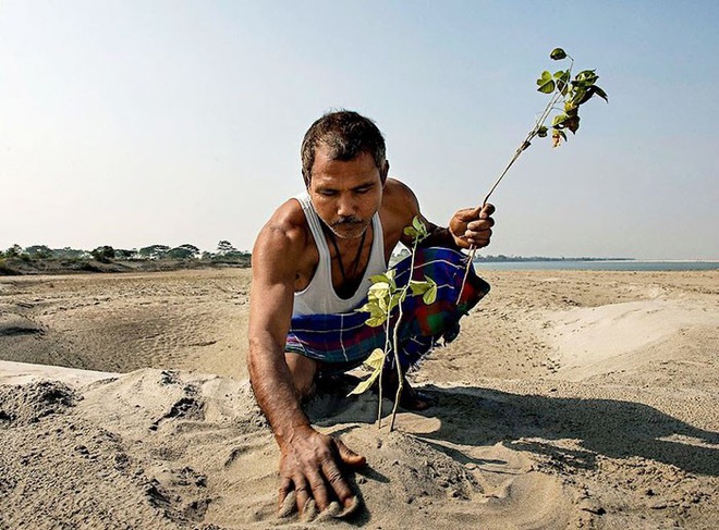 Người rừng Ấn Độ mỗi ngày trồng 1 cây xanh trong 40 năm, cái kết khiến người đời sau thầm cảm phục - Ảnh 5.