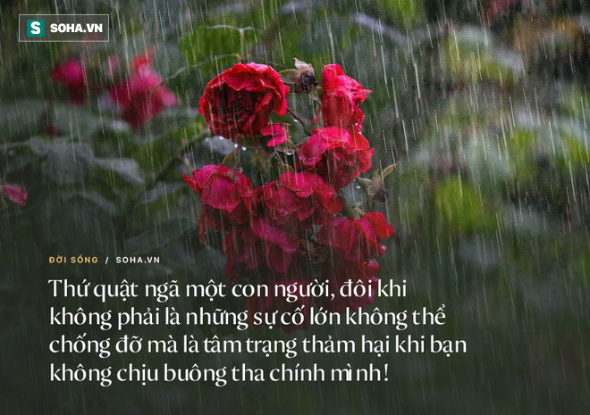 Cốc nước này nặng bao nhiêu? và đáp án dẫn dắt đến một sai lầm rất nhiều người đang mắc phải - Ảnh 4.