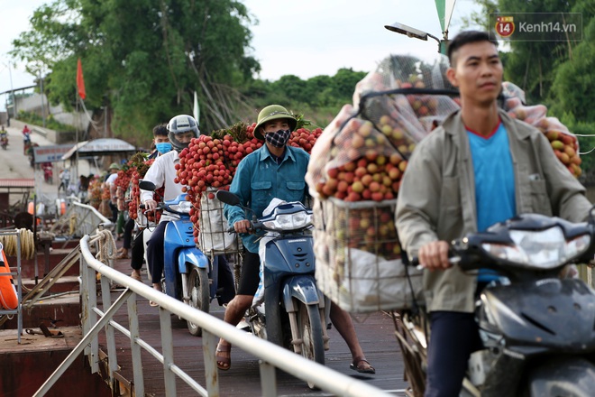 Vải thiều Bắc Giang vào vụ, dân gồng mình chở hàng tạ vải chòng chành qua chiếc cầu phao “tử thần”: “Ngã lộn xuống sông là chuyện bình thường” - Ảnh 12.