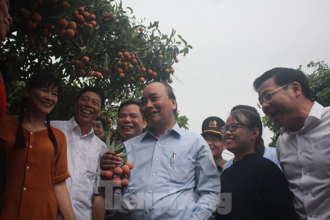 Thủ tướng dạo bước ở vựa vải thiều lớn nhất nước - Ảnh 2.