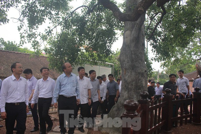 Thủ tướng dạo bước ở vựa vải thiều lớn nhất nước - Ảnh 4.