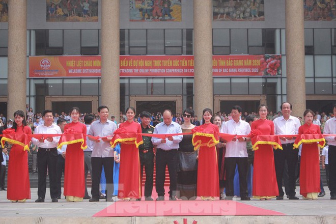 Thủ tướng dạo bước ở vựa vải thiều lớn nhất nước - Ảnh 6.