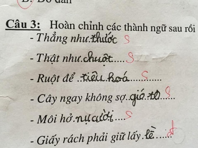 Cô giáo cười đau ruột khi chấm bài tập điền từ của học sinh vì lý do bất ngờ này - Ảnh 1.