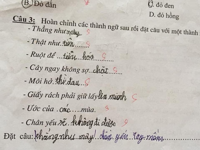 Cô giáo cười đau ruột khi chấm bài tập điền từ của học sinh vì lý do bất ngờ này - Ảnh 3.