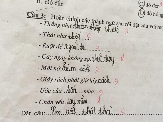 Cô giáo cười đau ruột khi chấm bài tập điền từ của học sinh vì lý do bất ngờ này - Ảnh 4.