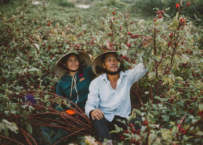  “Đôi bàn tay bố mẹ” - những thước ảnh của chàng trai Quảng Trị khiến nhiều người xúc động - Ảnh 4.