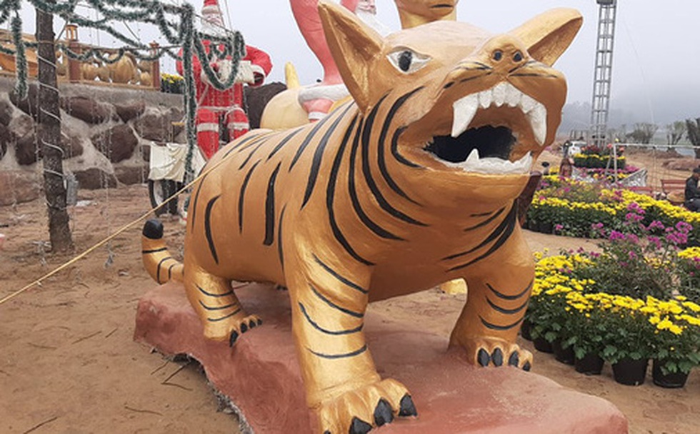 Hình ảnh tượng hổ có hình thù kỳ dị ở khu du lịch biển Tiên Trang - Thanh Hóa