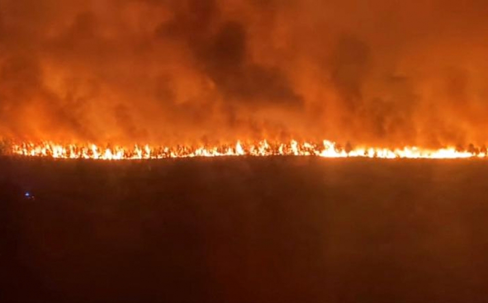 Hồi tháng 7, cháy rừng đã phá hủy hơn 20.000 ha rừng và khiến gần 40.000 người ở vùng Gironde phải tạm rời bỏ nhà cửa./.