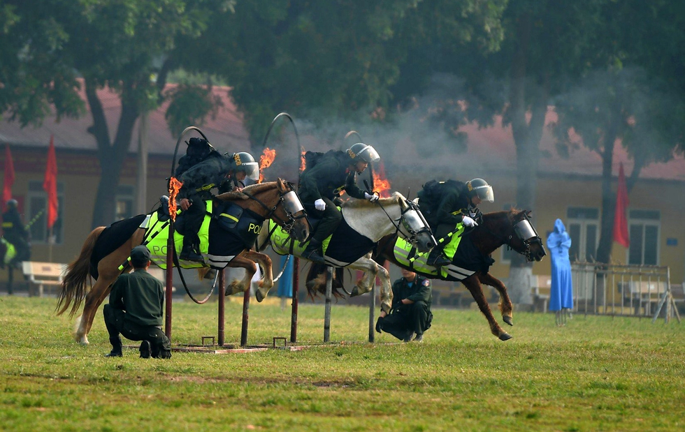 Chủ tịch nước và Tổng thống Mông Cổ xem Cảnh sát cơ động kỵ binh lao qua vòng lửa, phô diễn sức mạnh - Ảnh 5.