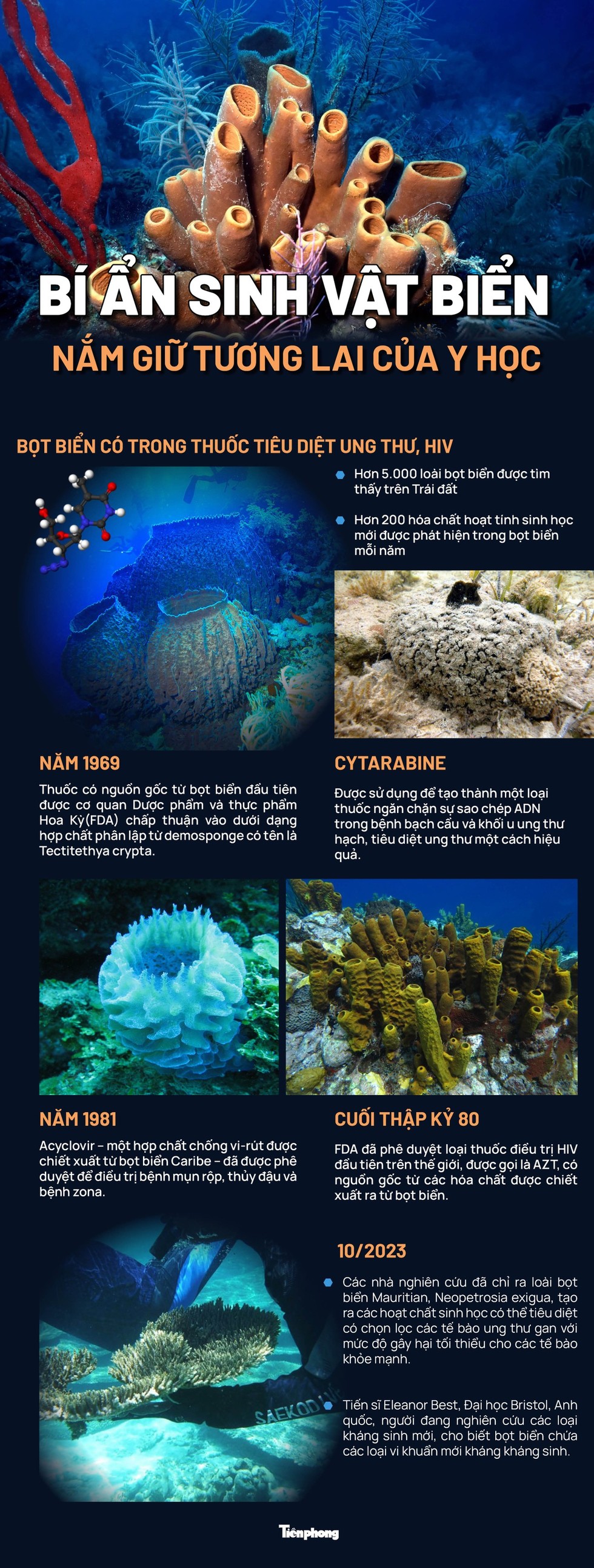 Bí ẩn những sinh vật biển lâu đời nhất hành tinh nắm giữ tương lai của y học - Ảnh 1.