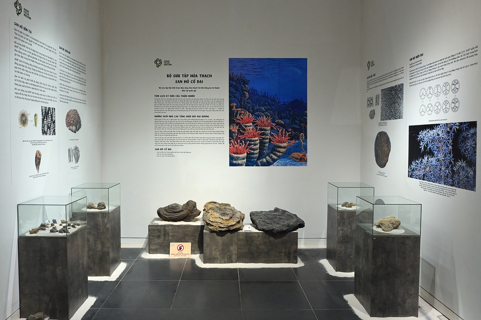 Cận cảnh phiến đá 3 tỉ năm, cổ nhất Việt Nam, được mang đi soi tuổi ở phòng thí nghiệm ở Nhật - Ảnh 13.