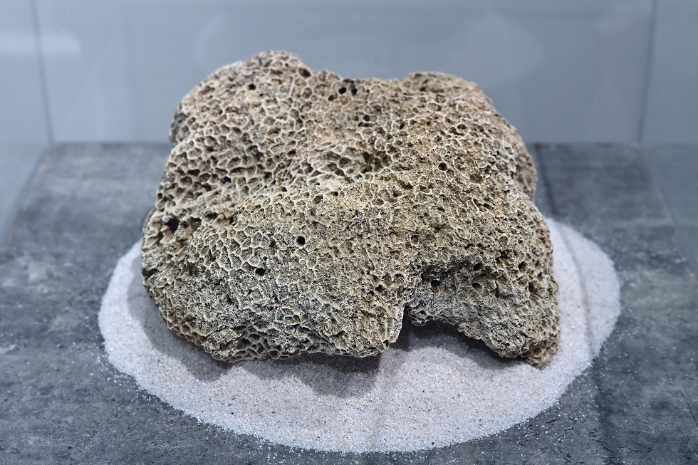 Cận cảnh phiến đá 3 tỉ năm, cổ nhất Việt Nam, được mang đi soi tuổi ở phòng thí nghiệm ở Nhật - Ảnh 14.