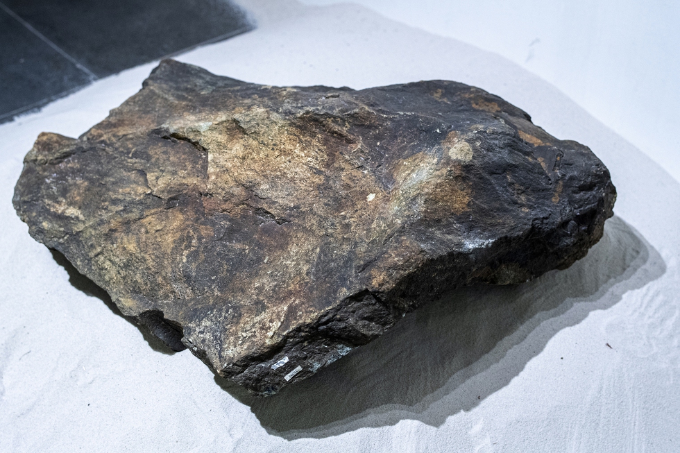 Cận cảnh phiến đá 3 tỉ năm, cổ nhất Việt Nam, được mang đi soi tuổi ở phòng thí nghiệm ở Nhật - Ảnh 3.