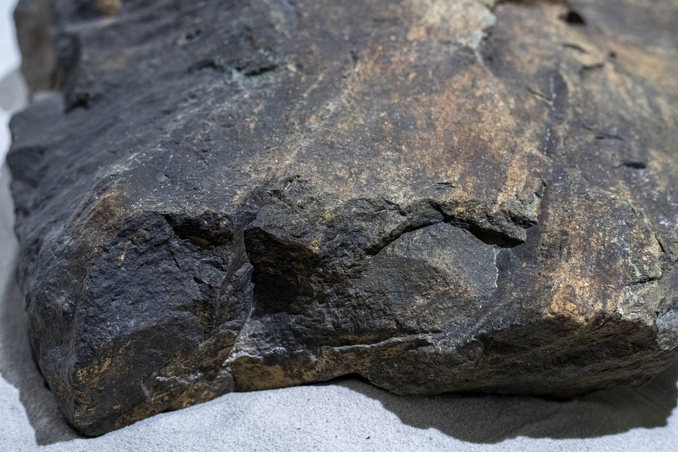 Cận cảnh phiến đá 3 tỉ năm, cổ nhất Việt Nam, được mang đi soi tuổi ở phòng thí nghiệm ở Nhật - Ảnh 4.