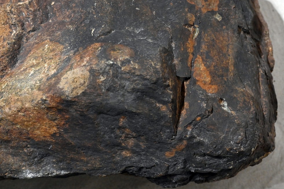 Cận cảnh phiến đá 3 tỉ năm, cổ nhất Việt Nam, được mang đi soi tuổi ở phòng thí nghiệm ở Nhật - Ảnh 5.