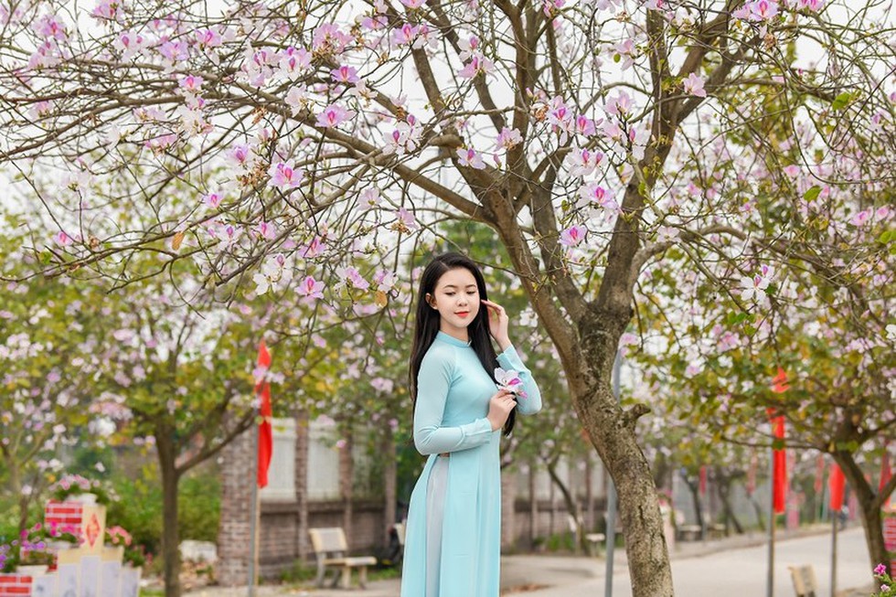 Nữ sinh Đại học Văn hóa Hà Nội thướt tha áo dài với hoa ban tím - Ảnh 10.