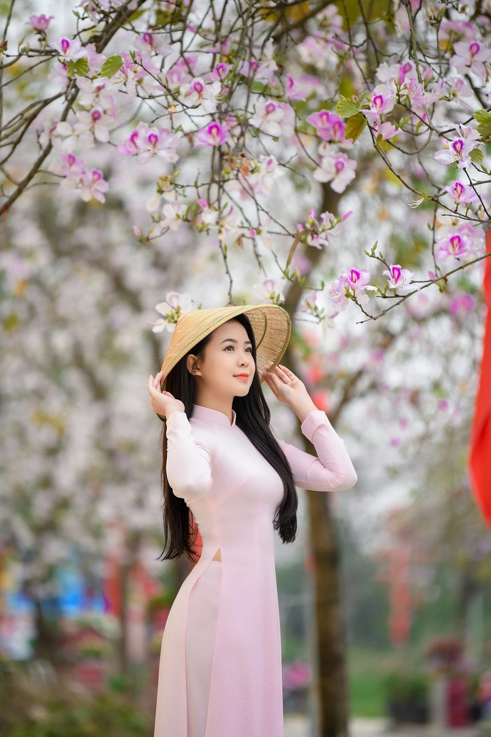 Nữ sinh Đại học Văn hóa Hà Nội thướt tha áo dài với hoa ban tím - Ảnh 8.