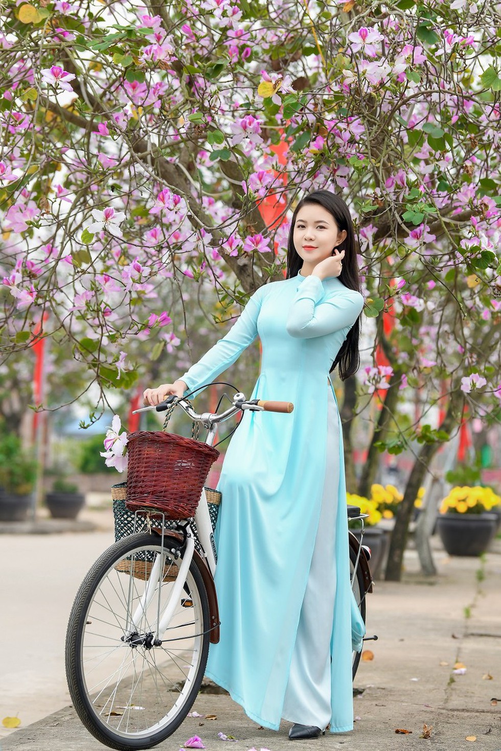 Nữ sinh Đại học Văn hóa Hà Nội thướt tha áo dài với hoa ban tím - Ảnh 5.