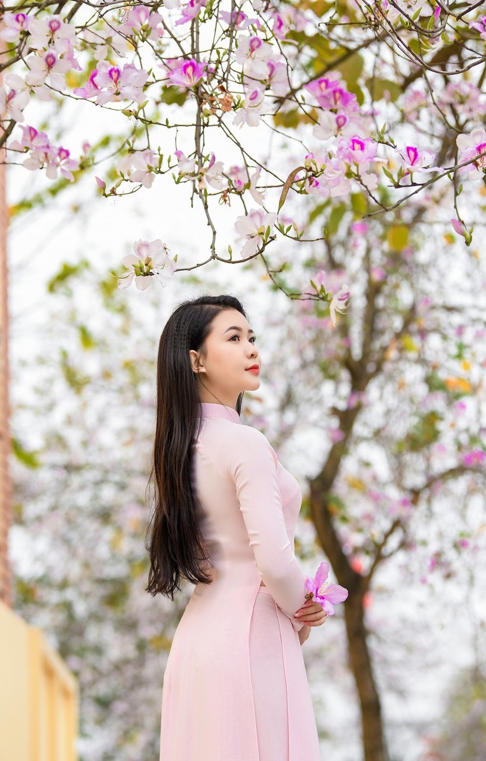 Nữ sinh Đại học Văn hóa Hà Nội thướt tha áo dài với hoa ban tím - Ảnh 4.