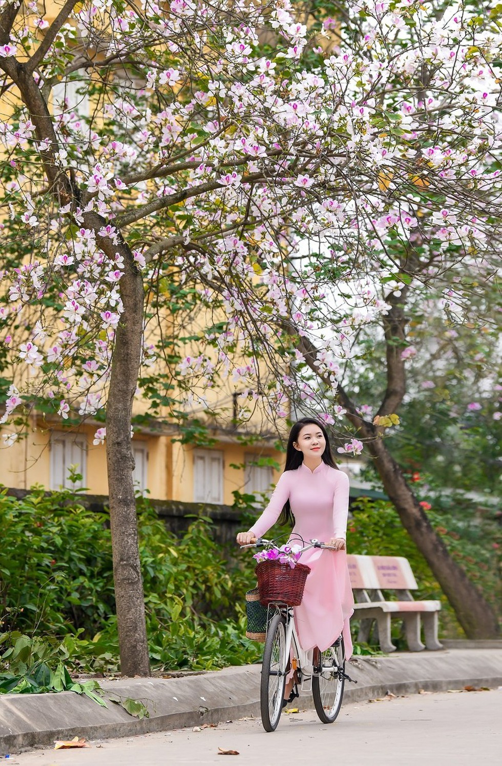 Nữ sinh Đại học Văn hóa Hà Nội thướt tha áo dài với hoa ban tím - Ảnh 3.