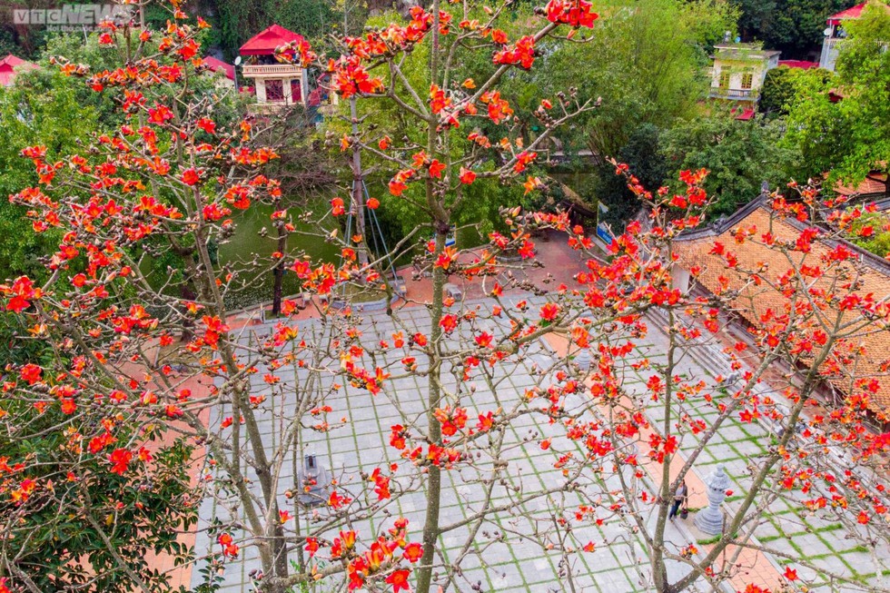 Ngôi chùa nghìn năm tuổi ở Hà Nội nên thơ với sắc đỏ hoa gạo - Ảnh 4.