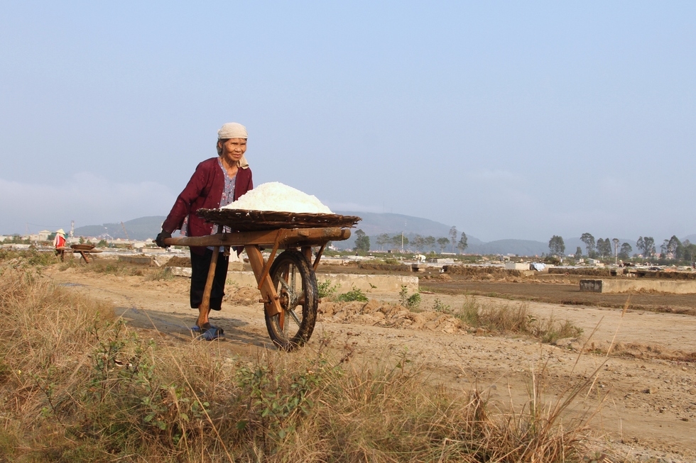 Xem người dân đón nắng nóng để làm một ngày ăn cả năm - Ảnh 15.