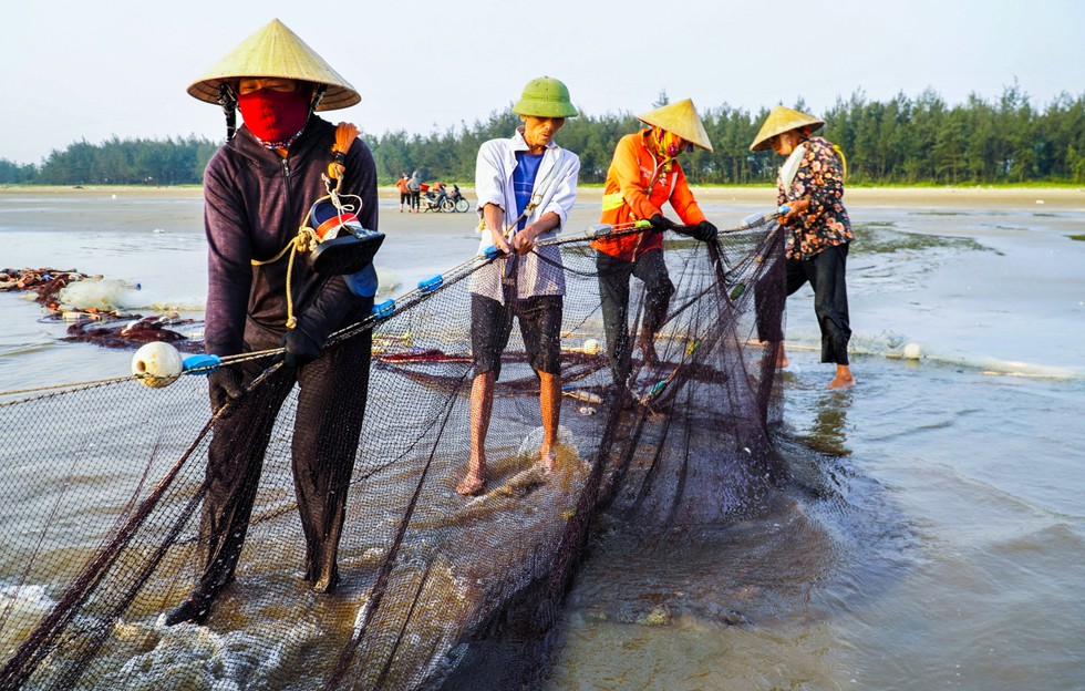 Xem ngư dân kéo cả nghìn mét lưới bắt hải sản trên biển - Ảnh 5.