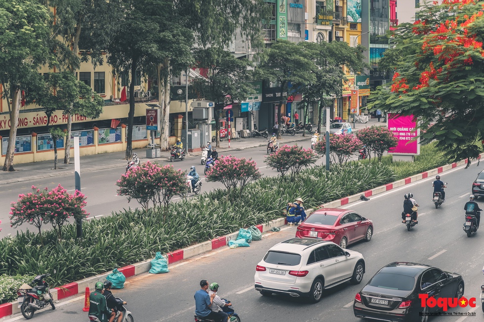 Bỏ phong lá đỏ, Hà Nội có con đường hoa tường vi dài cả cây số - Ảnh 8.