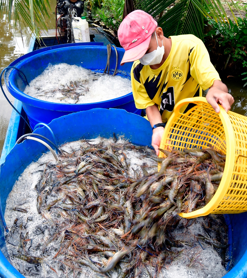 Tỉnh duy nhất có 3 mặt giáp biển, xuất khẩu thuỷ sản trên một tỷ USD - Ảnh 3.